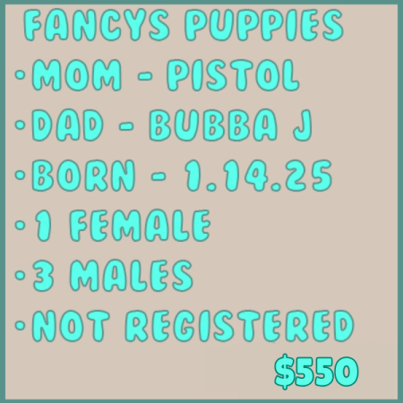 $350 (3)