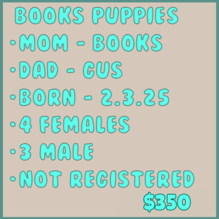 Books-Box-PC