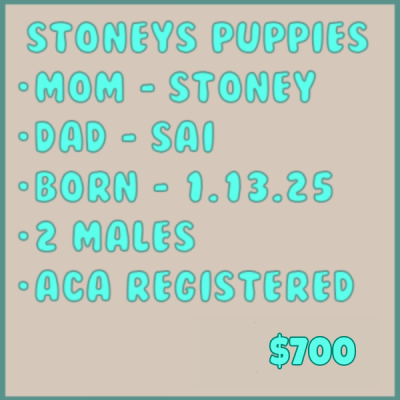 Stoney-PC-700